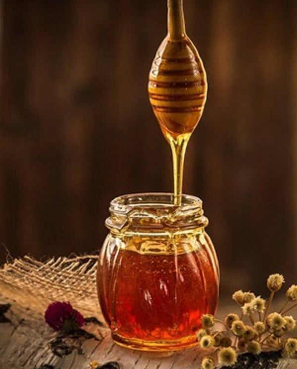 Bougie Collection Ambre parfum Miel