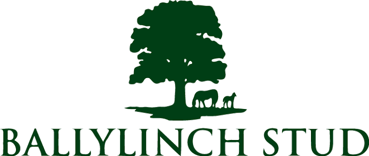 ballylinch-stud-standard.png