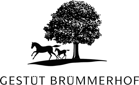 brummerhof-standard.png
