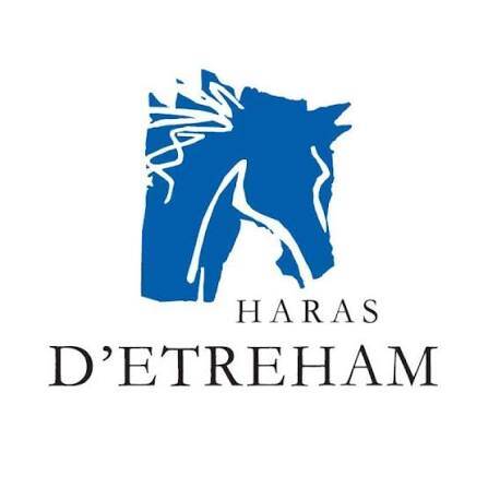 haras-d-etreham-standard.jpg