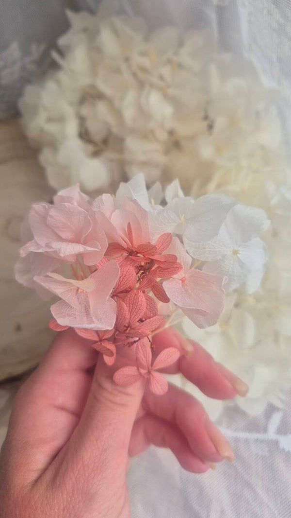 Boucles roses