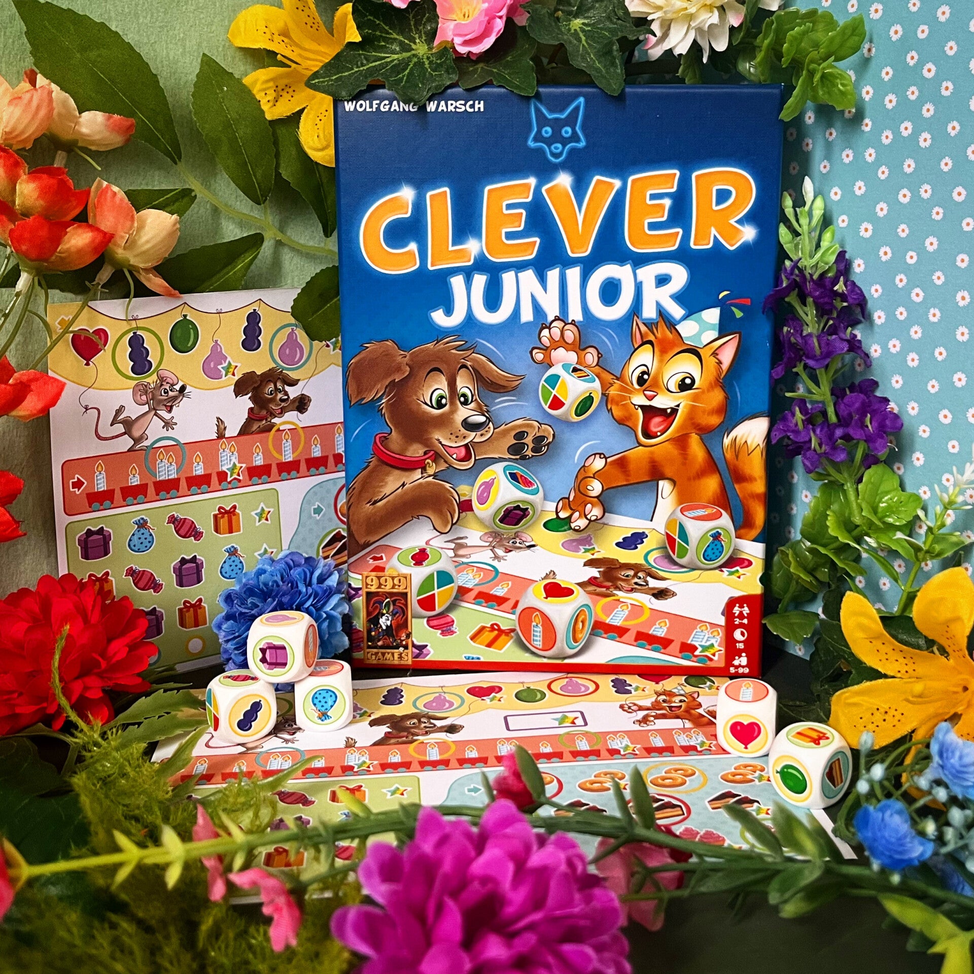 Clever Junior - Dobbelspel