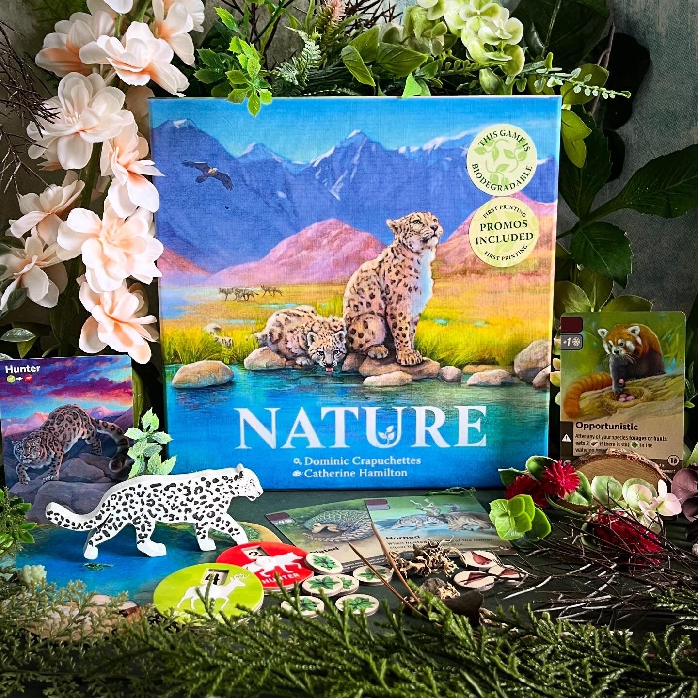 Nature - Basisspel