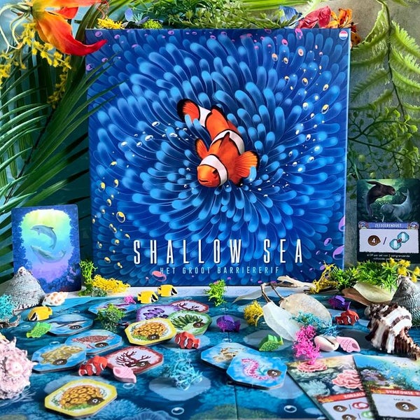 Shallow Sea - Bordspel (NL)