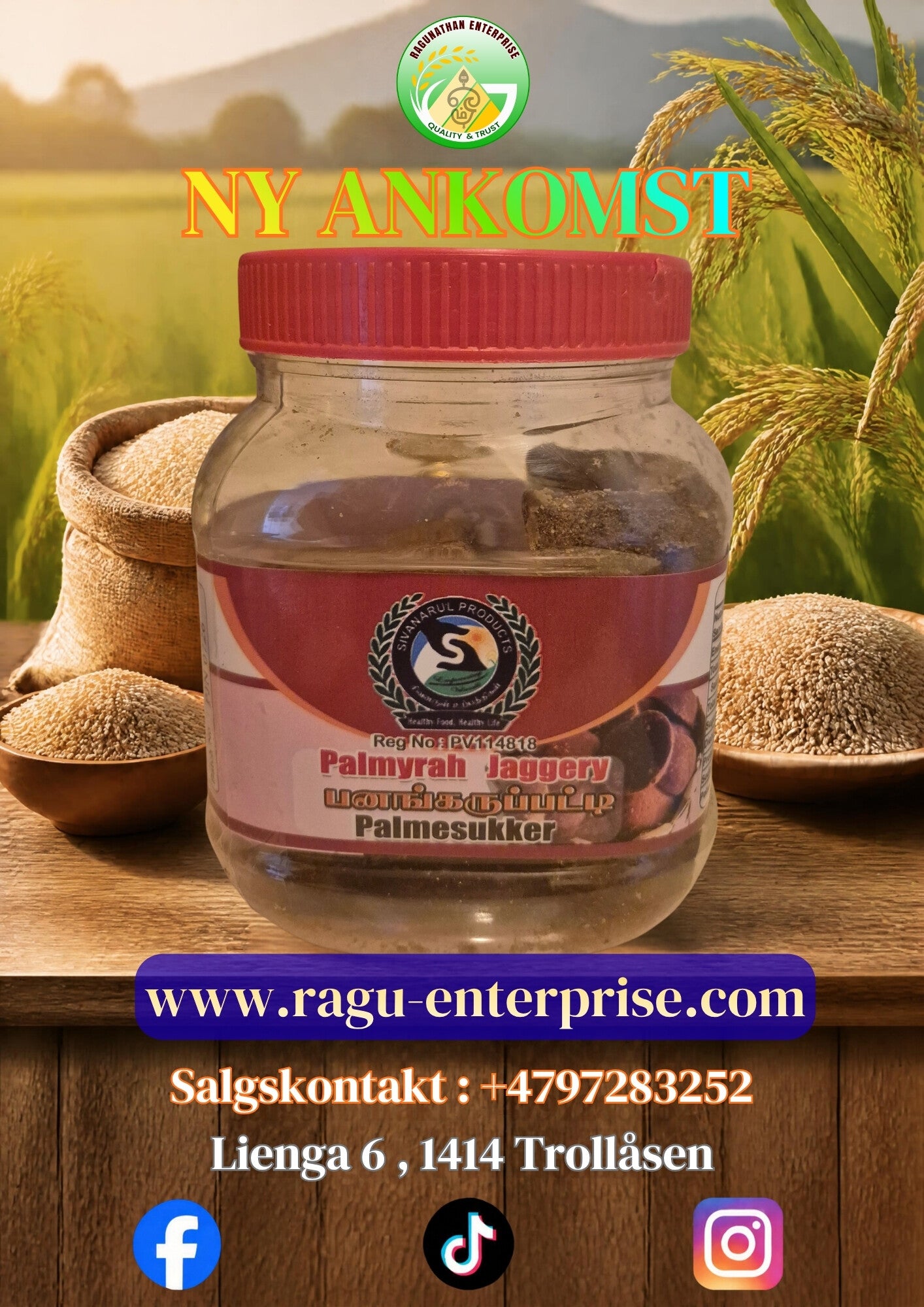 Palmyrah Jaggery 300g x 24