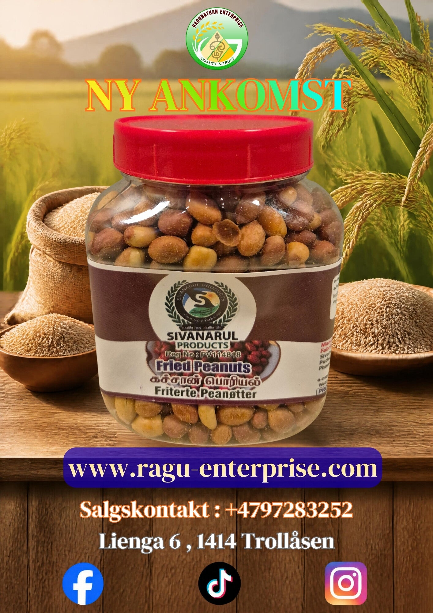 Fried Peanuts 200g x 24