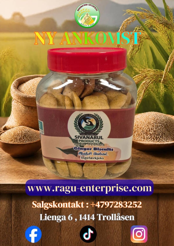Ginger Biscuit 100g x 24