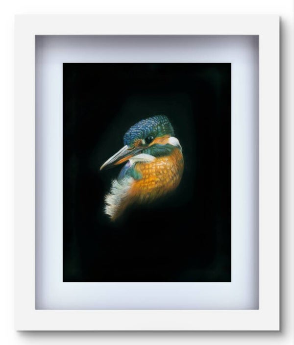 The Halcyonic Kingfisher