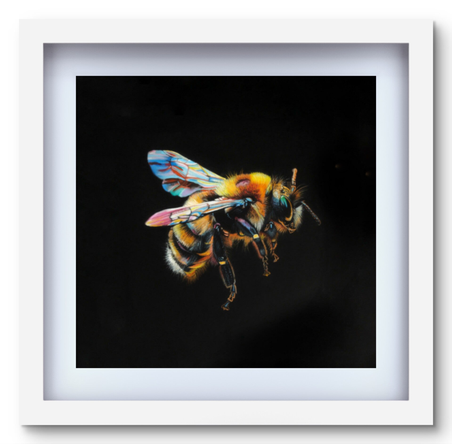 Bumblebee in flight