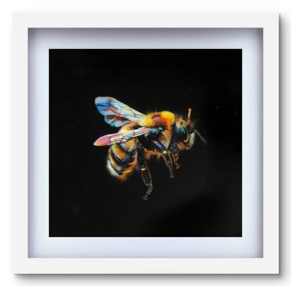 Bumblebee in flight