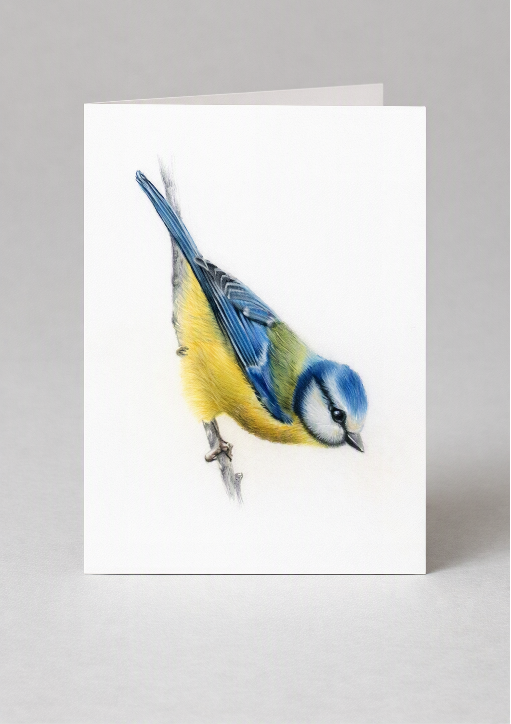 Blue tit greeting card