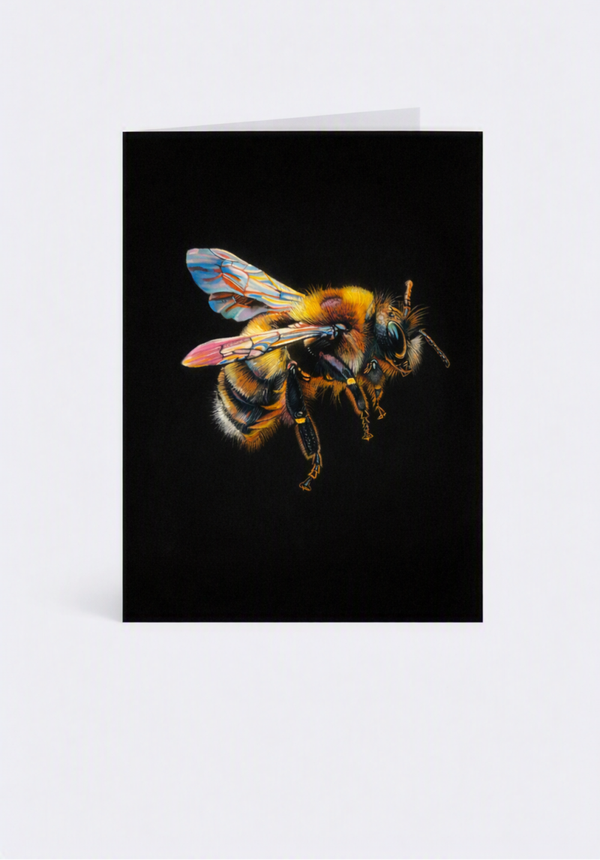 Bumblebee in flight