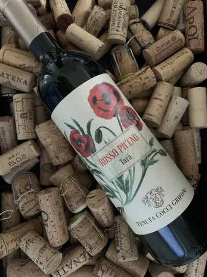 Tenuta Cocci Grifoni 'Tarà' Rosso Piceno 2023
