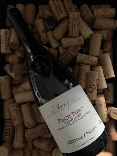 Monopolio 'Trevenezie' Pinot Nero 2021