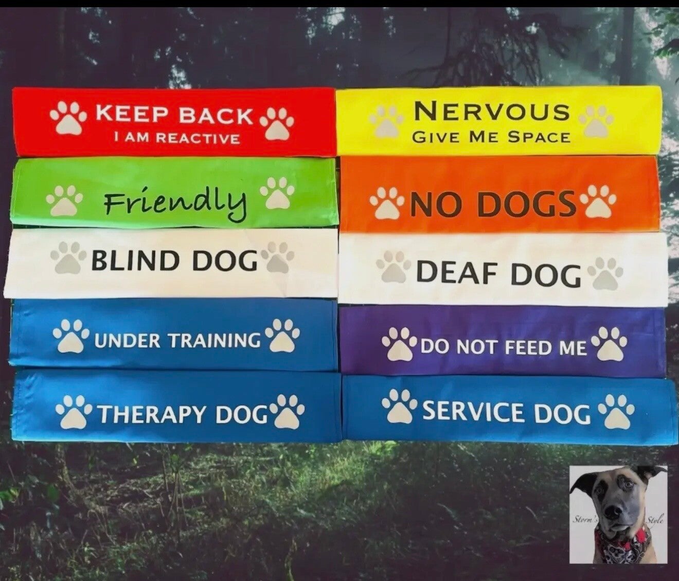 Warning leash straps, training, reactive, friendly