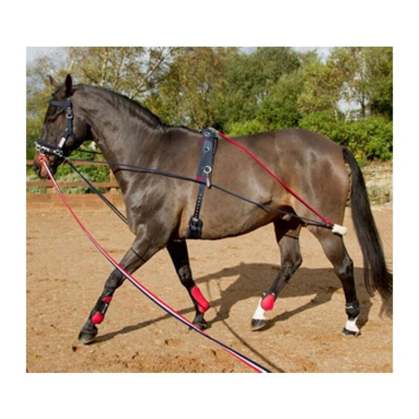 John Whitaker Training System