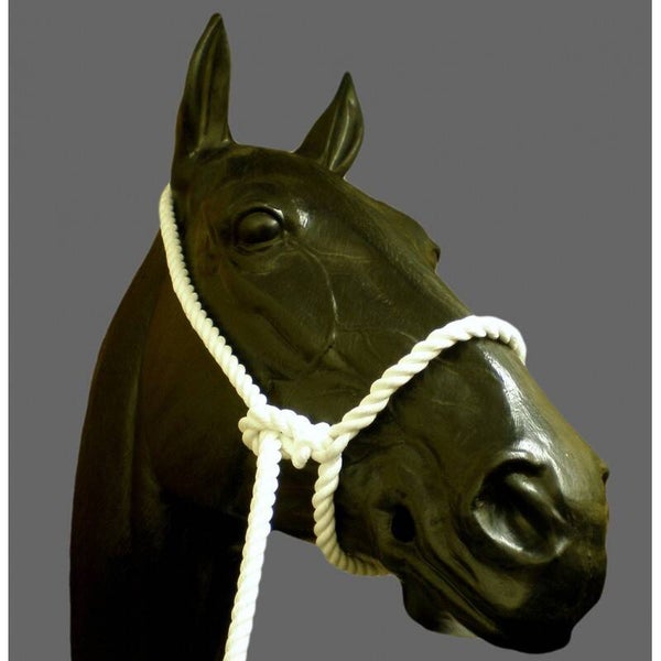 Rope Halter