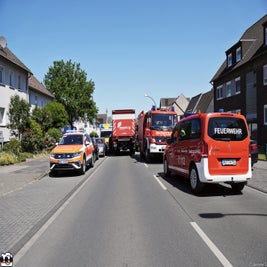 19db841a-f8e7-4ae4-a154-9c829bc385d0-standard.jpg