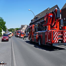 4de6e162-cc8f-4501-86c1-9e6127a5bd50-standard.jpg