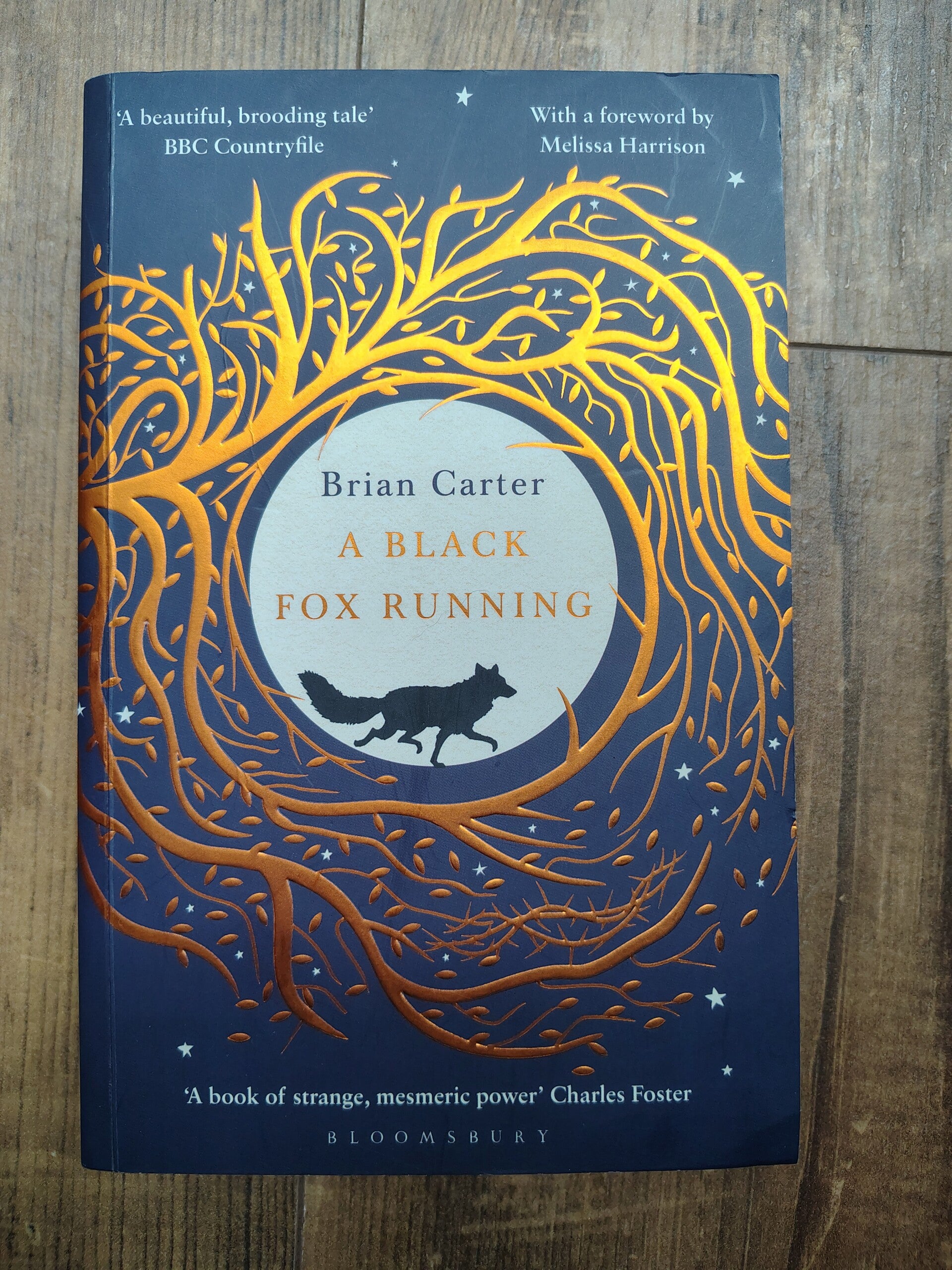 A Black Fox Running - B. Carter