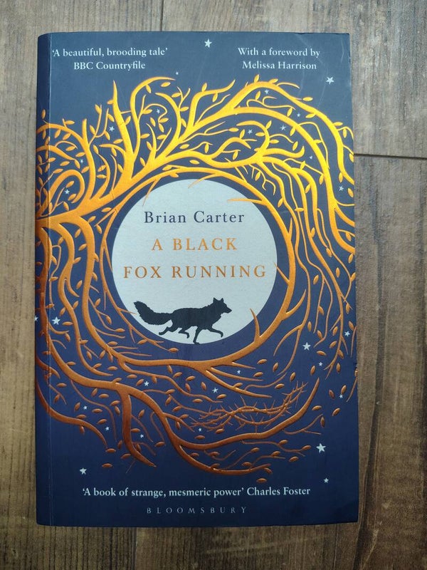 A Black Fox Running - B. Carter