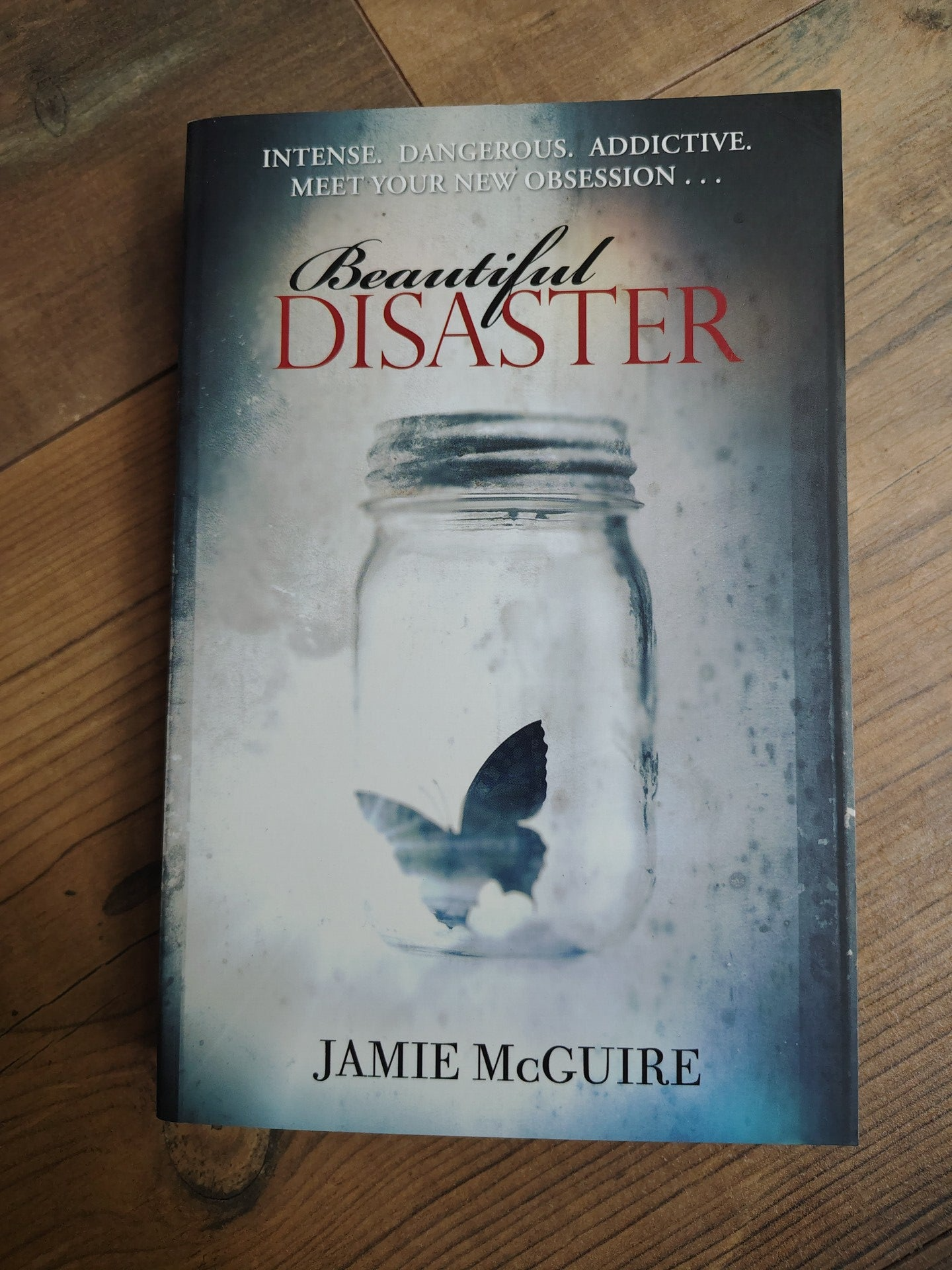 Beautiful Disaster - J. McGuire