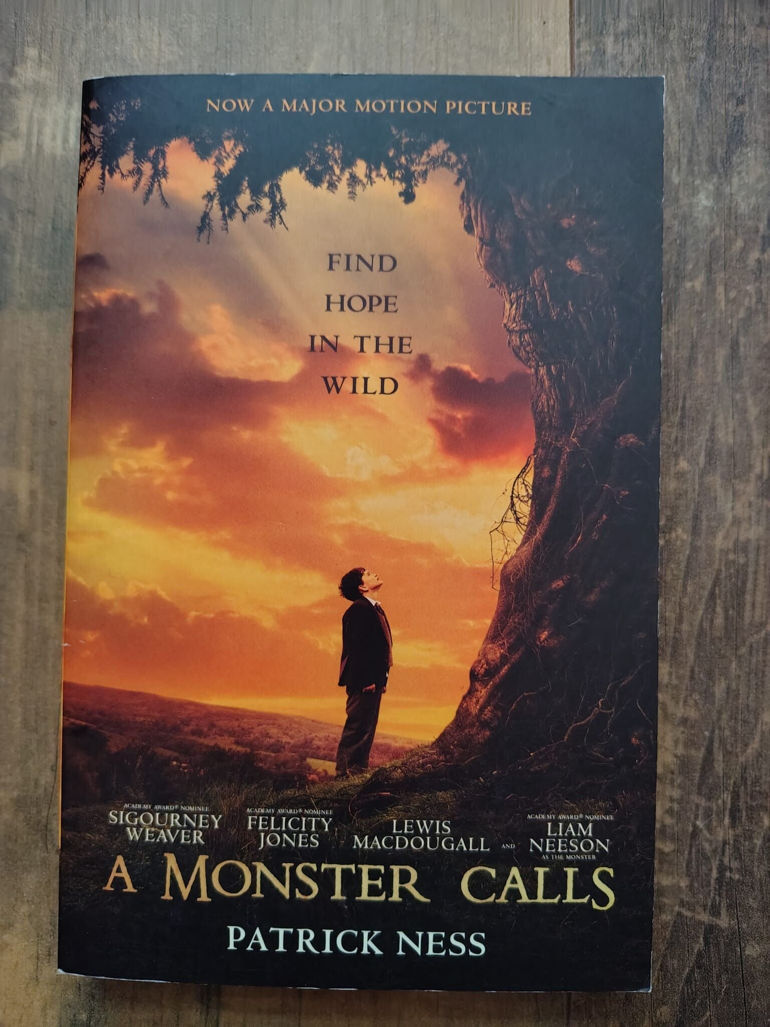 A Monster Calls - P. Ness
