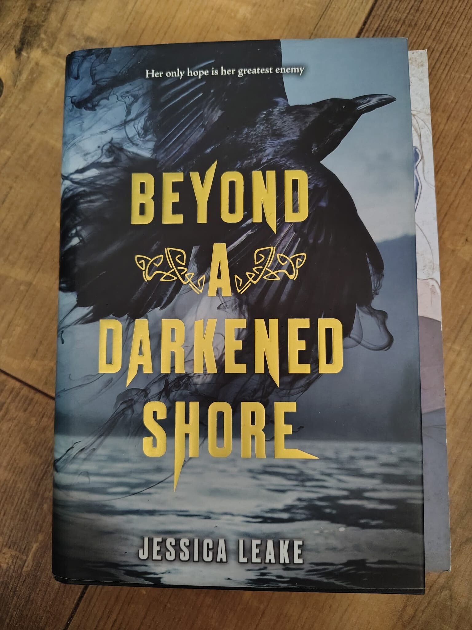 Beyond A Darkened Shore - J. Leake - Fairyloot