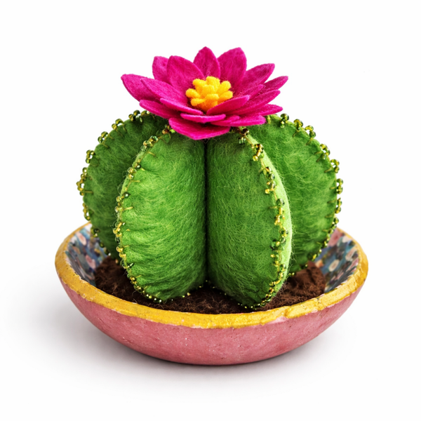 Cactus -  Desert Pink