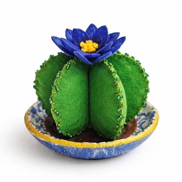 Cactus - Desert Blue