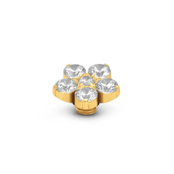 Steentje Vivid Melano Botanic Chrystal