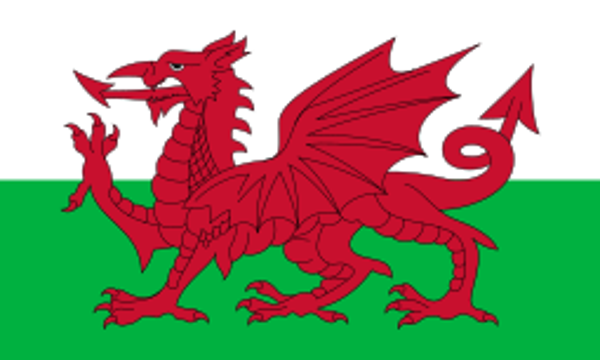 Wales Rugby Grazing Platter	 (5-7 people) x