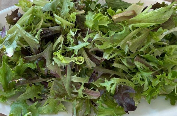 Mixed Leaves Salad (feed 7)