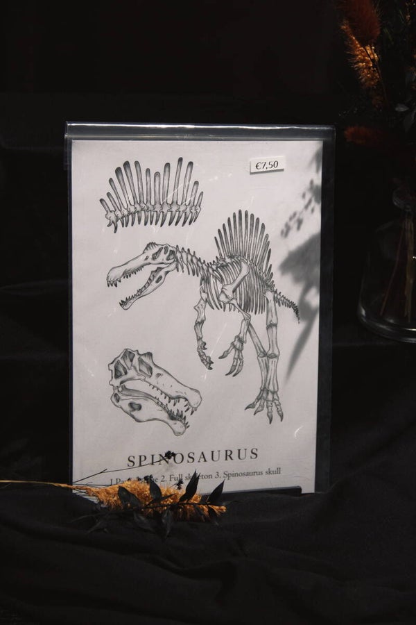 12 Different DINOSAUR prints