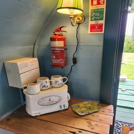 chick-3-standard-belkdp.jpg