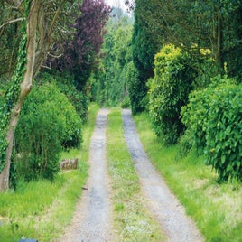 driveway-standard-x9s2jx.jpg