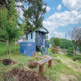 lamb-shepherd-hut-standard-78pi6a.jpg