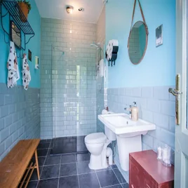 shower-standard-ao67lz.webp