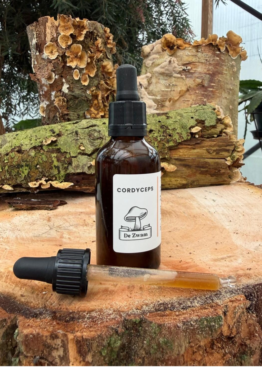 Cordyceps tinctuur 50 ml