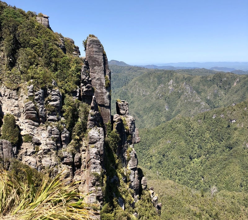 Top of the pinnacles Coromandel Nieuw Zeeland, DIYNewZealand.com