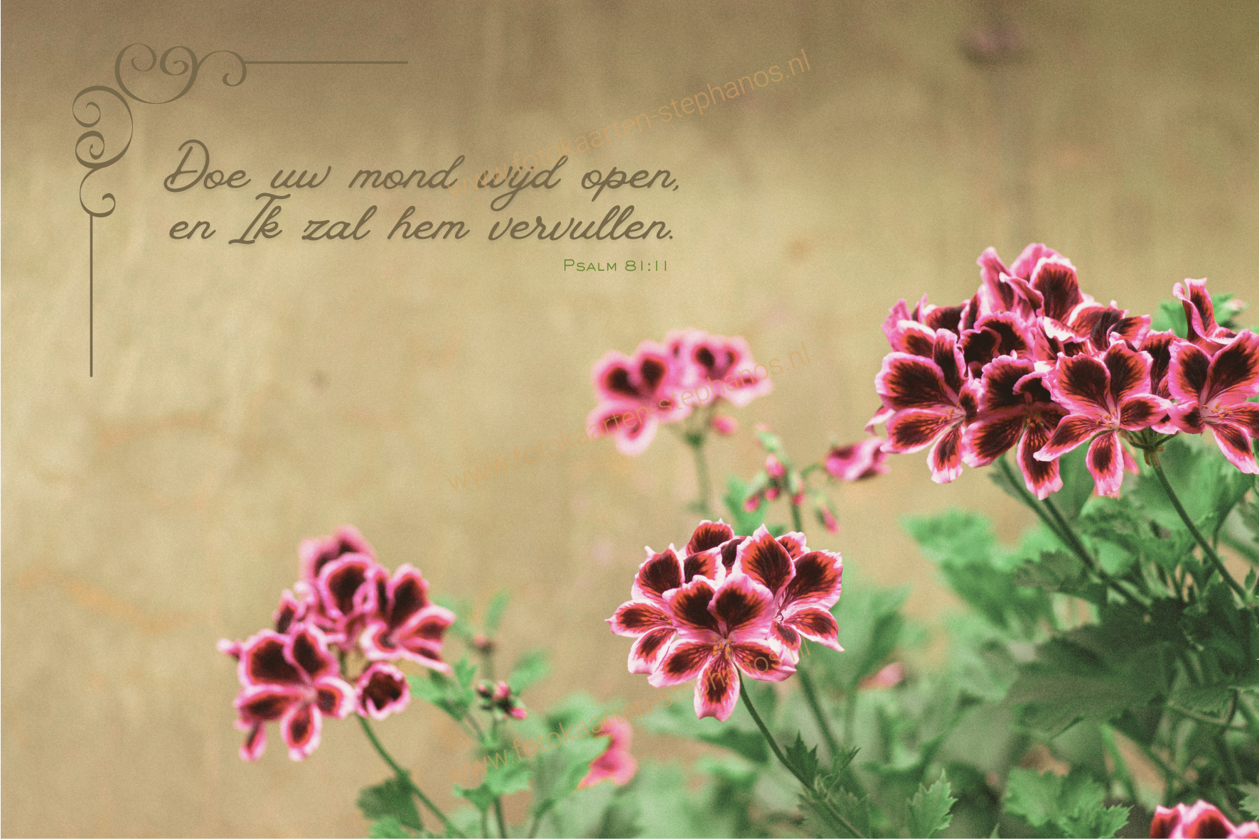 Bijbelteksten & Gedichten 33