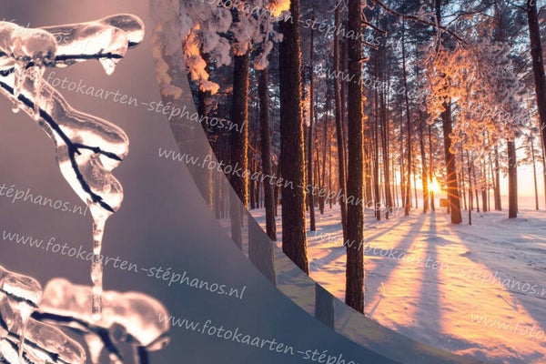 Kerst & Winter - Blanco Winter 01