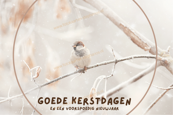 Kerst & Winter - Goede Kerstdagen 01