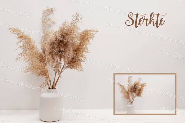 Medeleven - Sterkte 01