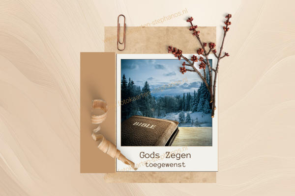 Kerst & Nieuwjaar - Gezegend Nieuwjaar 01