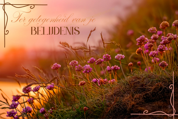 Diversen - Belijdenis 01