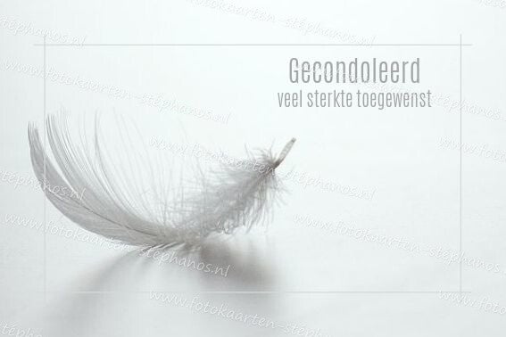 Medeleven - Oprechte deelneming 02