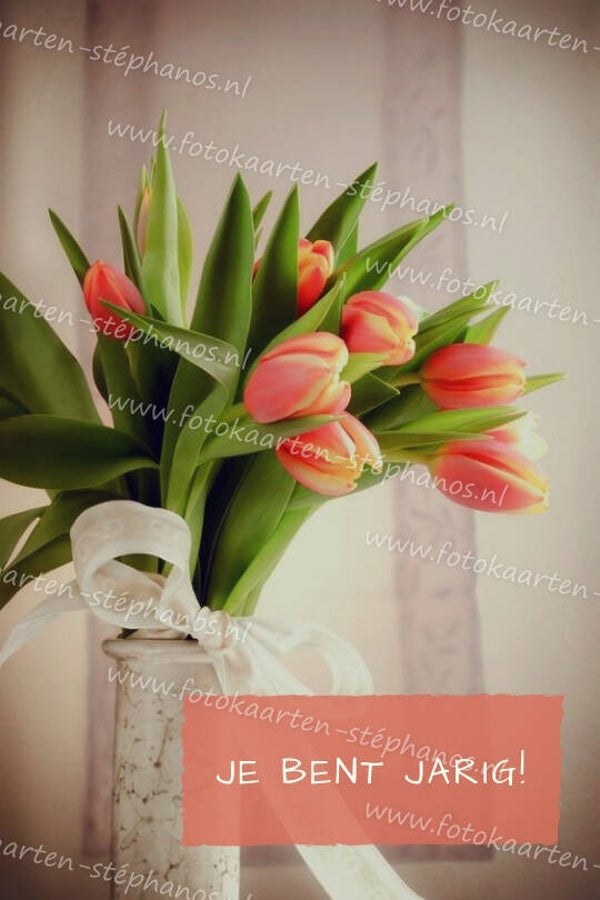 Huwelijks jubileum 017