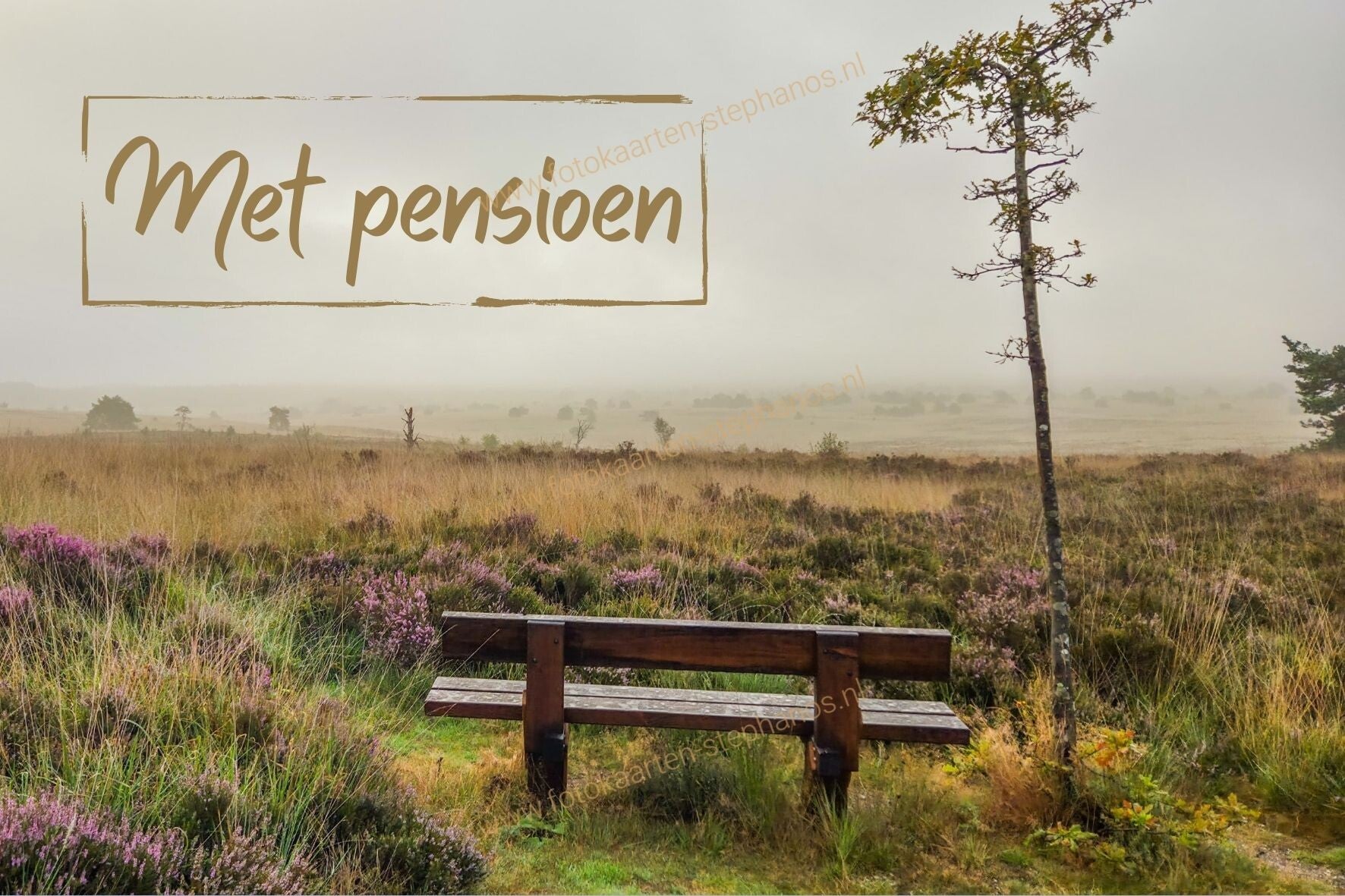 Diversen - Pension 02