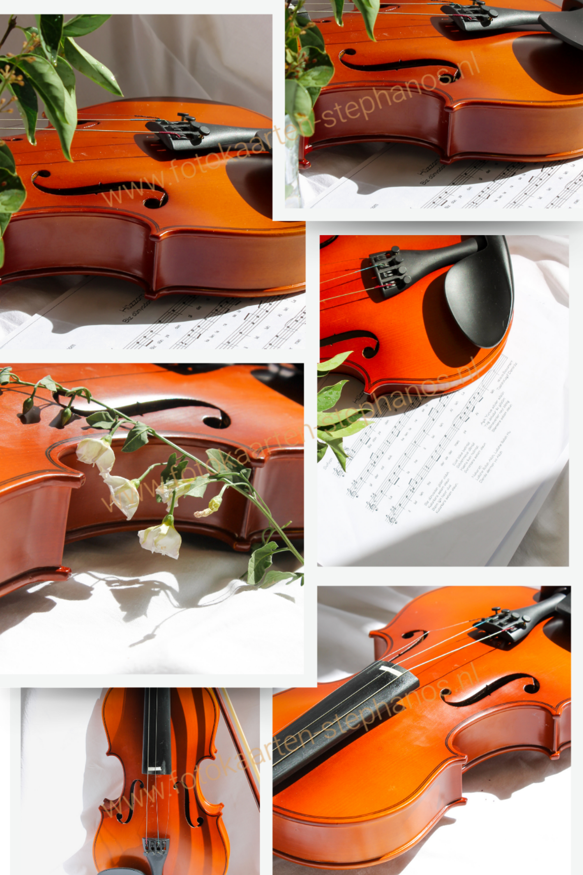 Diversen - Muziekinstrumenten 02